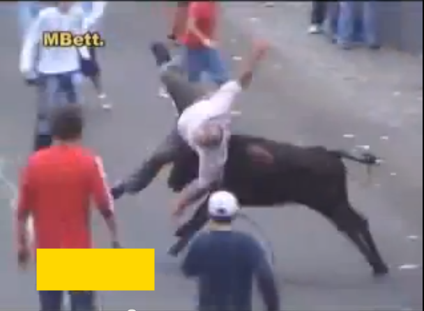 Бикове нападат и наръгват  хора по улиците!