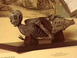 mermaid-mummies01.jpg