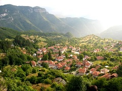село Борово