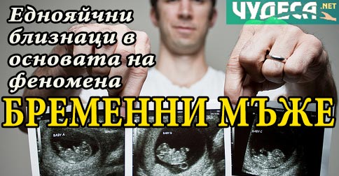 Как се формират еднояйчните близнаци и тяхната уникална биология. Еднояйчни близнаци: Момче и момиче или еднополови - особености