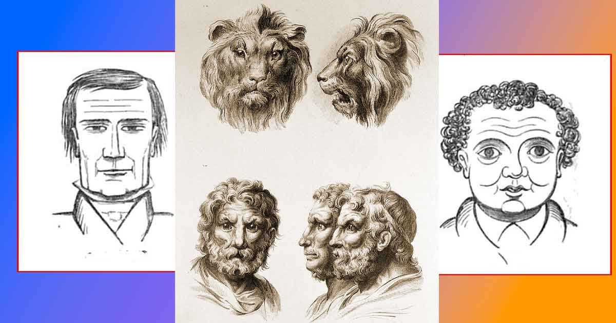 Основи на добрата физиогностика и физиогномика: Човешкото лице е изпъстрено със стотици микросъдове, нервни окончания и мускулни влакна,