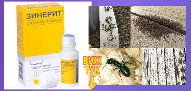 1 зинерит мнения лосион 4