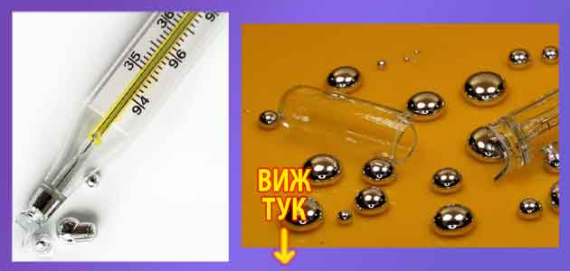 живак от термометър последствия 2