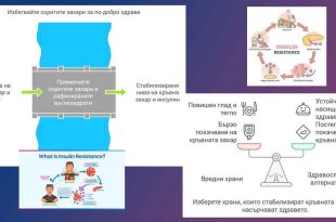 insulinova rezistentnost 01