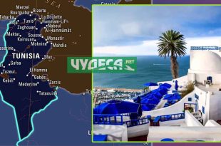 Точно какво трябва да знаем при пътуване в Тунис? Най-подходящо време за почивка в Тунис. Мнения, столица, къде се намира и кога се ходи?