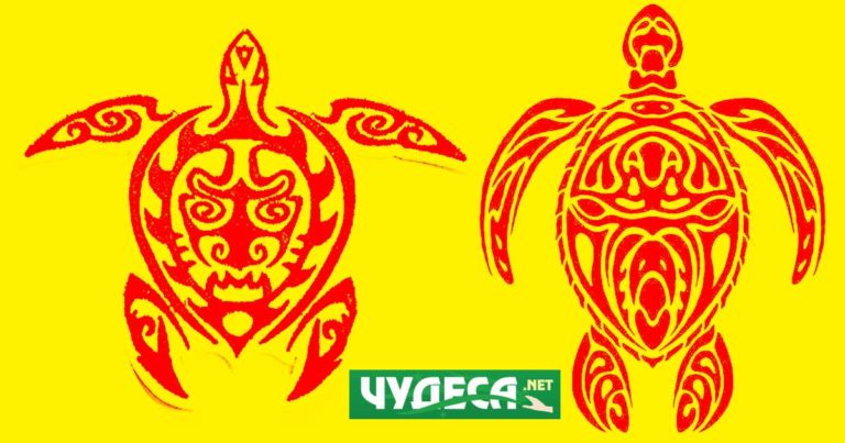 костенурка символика талисман