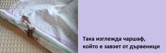 Дървеници 01