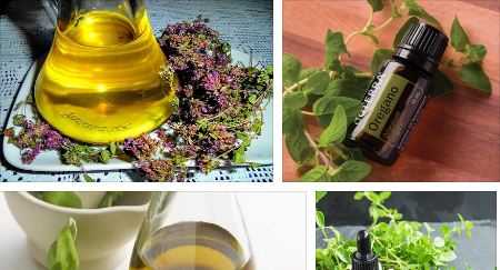 масло от риган ползи