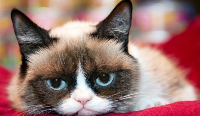 оправяне на настроение