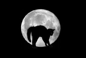 800px Auto Racing Black.svg