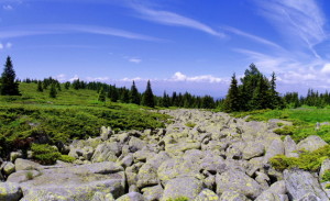 morenite morenite
