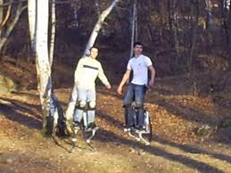 скачащи кокили