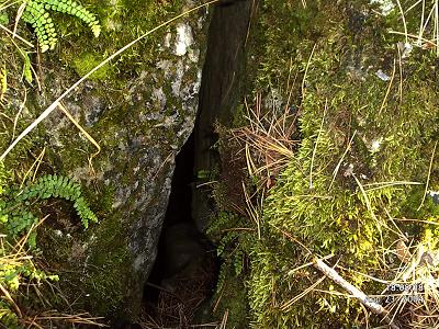 Край на мистерията около Мето Илиенски