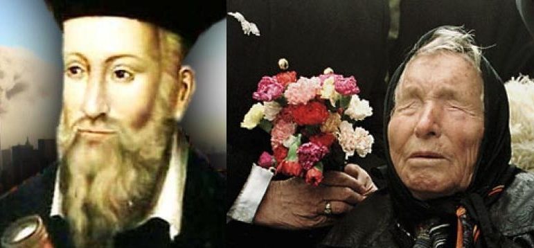 vanga e1542180592865