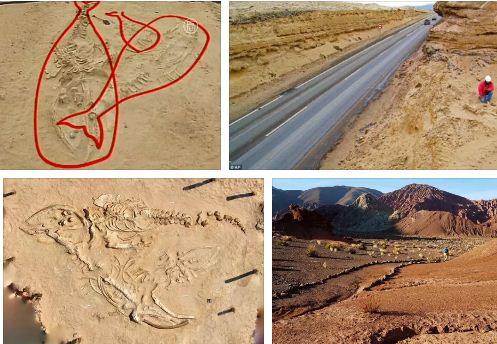 гробище на китове чили атакама