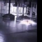 Ангел кацна на Земята