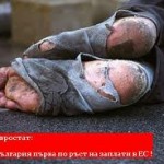 работодатели работодатели