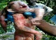 Невиждано! Хванаха страховито чудовище в Намибия! (ЗЛОКОБНО ВИДЕО)