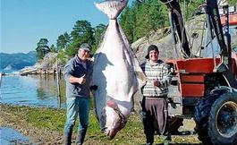 Рибари счупиха две метални куки преди да извадят гигантско чудовище! (ФОТО)