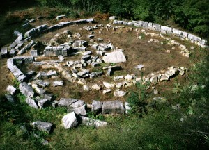 mishkova-niva
