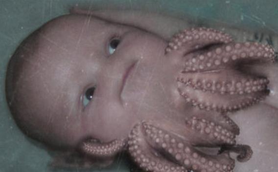 bebe-oktopod- bebe oktopod