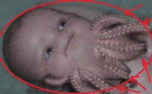 bebe-oktopod-im bebe oktopod im
