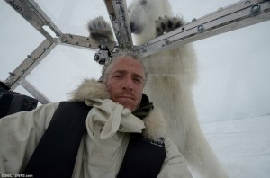 bear 1