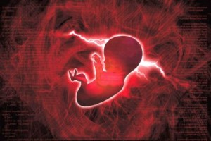 Ето как можем да разберем дали сме преродени 1 Истината за прераждането може да се разбере по ръцете на човек