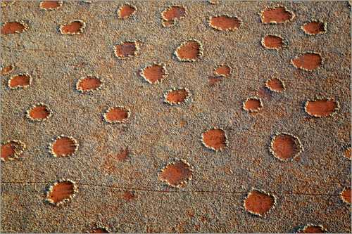 Мистерията на тайнствените кръгове е разкрита