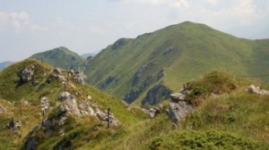 Царичина