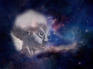 Izwynzemnoto