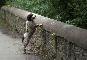 Мостът Овъртън