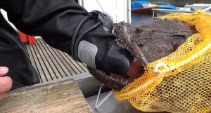 Не правете така у дома!