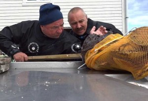 Работата става напечена