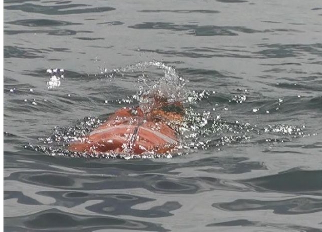 Яне Петков - човекът -амфибия от Сандански