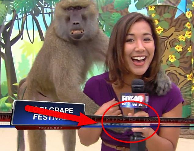 Нагъл бабуин награби журналистка