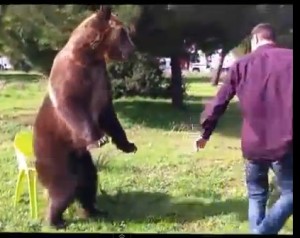 Уникално видео взриви световната мрежа и стана хит! 2 Това истинска мечка ли е?