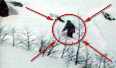 Разкрита е мистерията около Снежния човек Йети