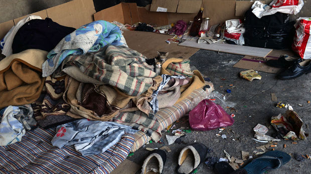 Вижте какво ни причиняват бежанците