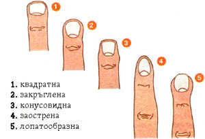 Формата на пръстите ви издава вашата съдба! Вижте как! (ФОТО) 3 fingers