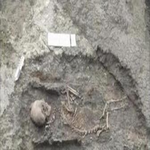 сатир скелет