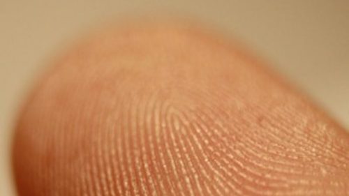 адерматоглифия пръстови отпечатъци