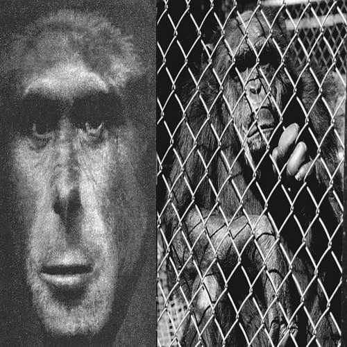 експерименти