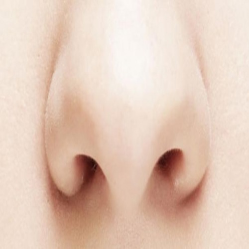 стволови клетки