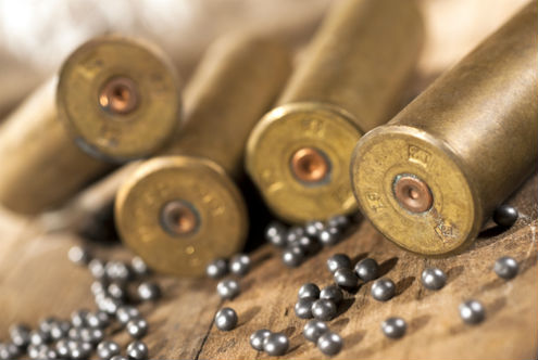 леене на куршум