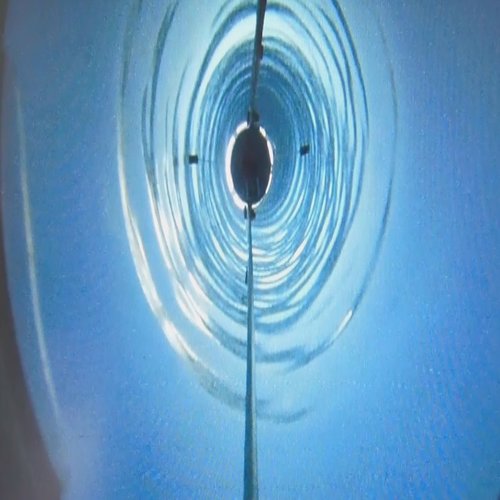 антарктида