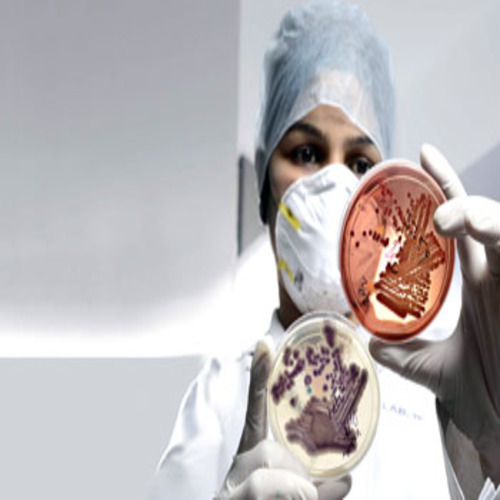 цивилизация