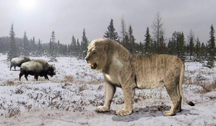 cave lion