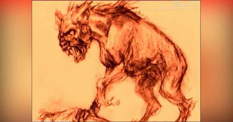 brazilska chupakabra 156