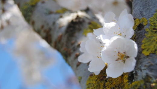 least resistance e1552569079211